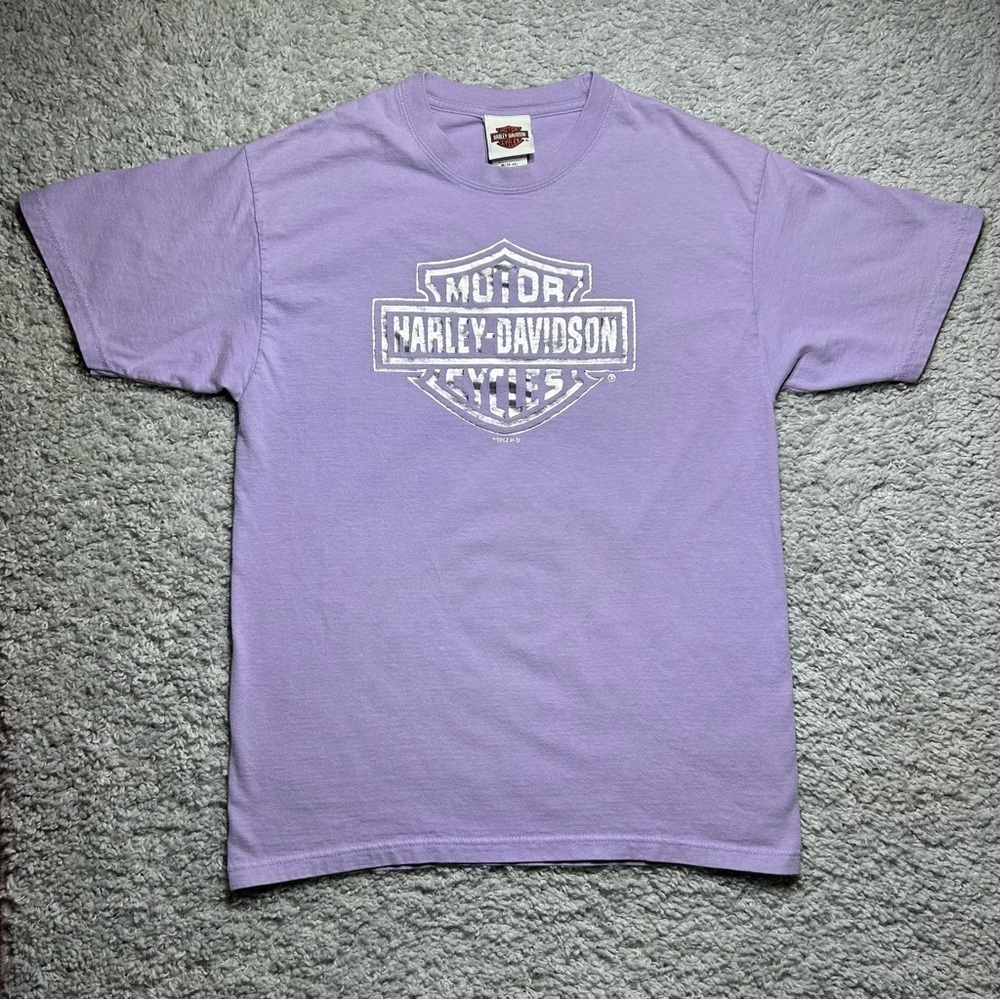 Harley Davidson Shirt Womens Medium Crewneck Metallic HD Graphic Tee Moto Hog